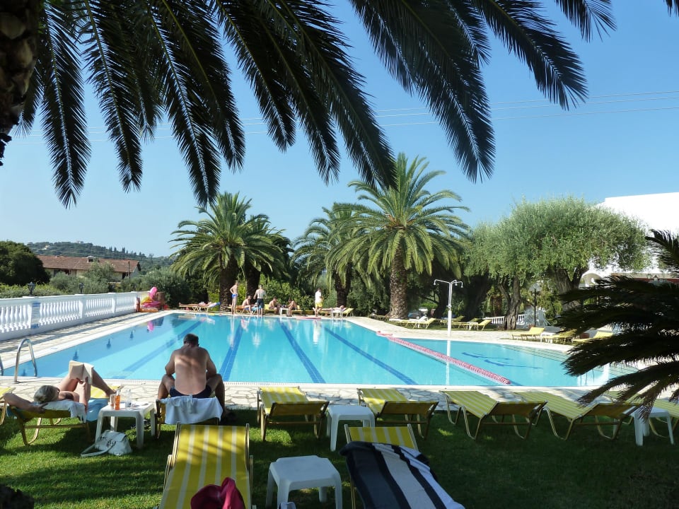 Pool mit schönen großen Palmen Paradise Hotel Corfu