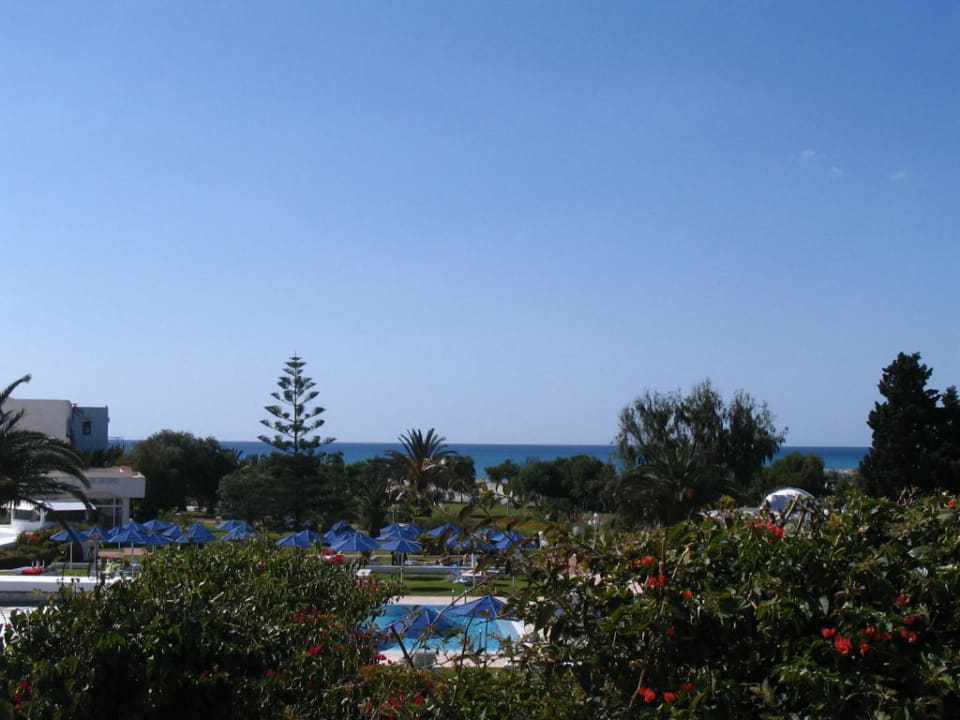 Zimmer 202 AQI Venus Beach