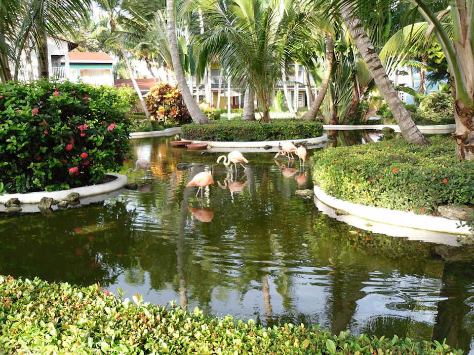 Vor dem Hoteleingang Grand Palladium Select Bávaro Resort & Spa