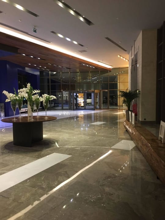 Lobby Acanthus Cennet Barut Collection