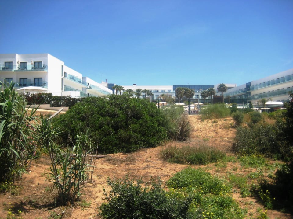 Blick vom Holzsteg aus Hipotels Gran Conil Hotel