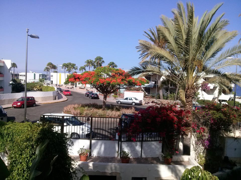 Ansicht auf der Rückseite Nogal Appartements - Adults only