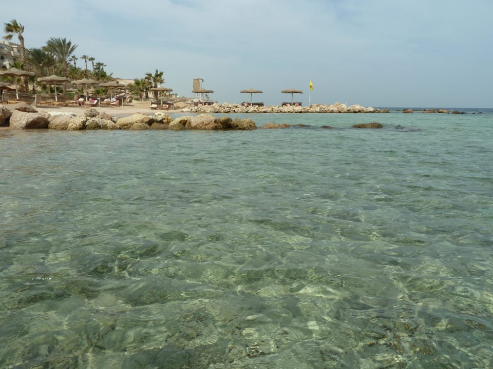 Klares sauberes Wasser am Hotelstrand Pickalbatros Citadel Resort