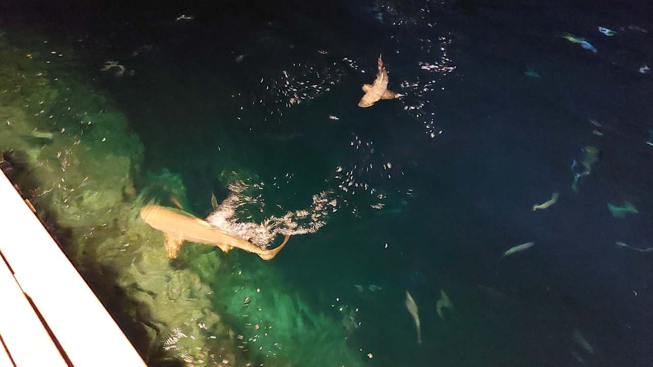 Sonstiges Vilamendhoo Island Resort & Spa