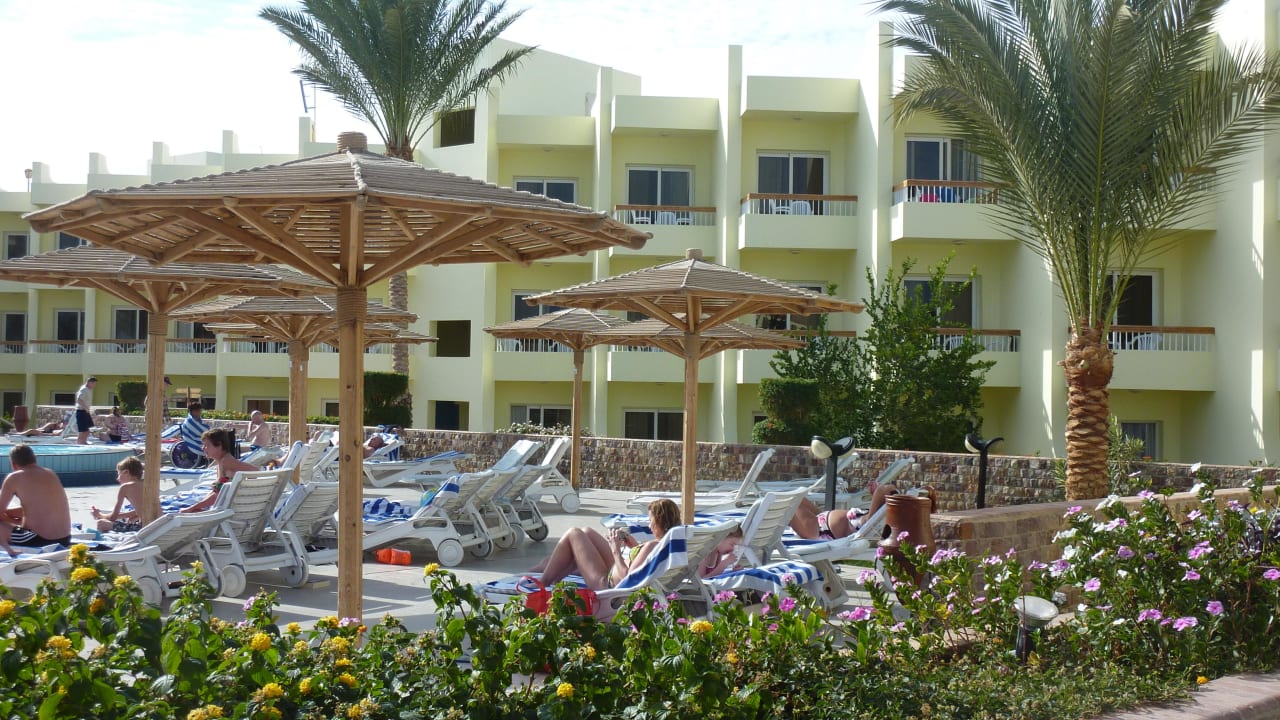 Poolbereich Neubau Palm Beach Resort