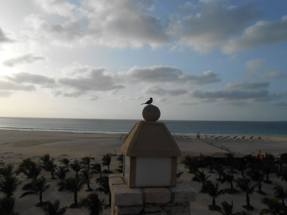 Einsamer Spatz VOI Praia De Chaves Resort