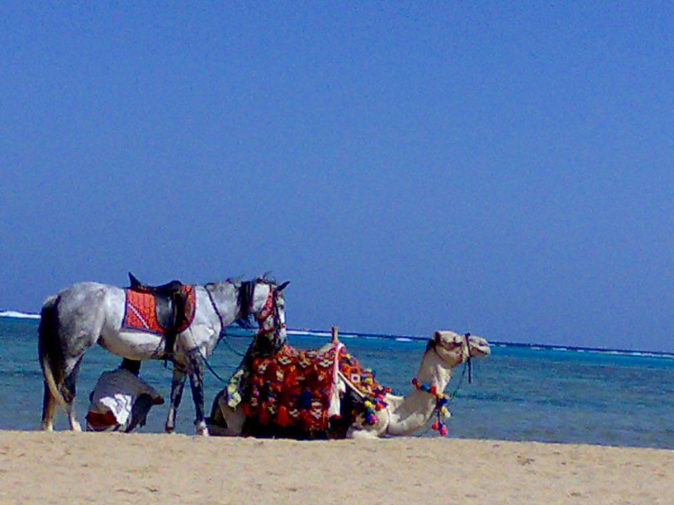 Am Strand Swisstouch Oriental Resort Marsa Alam