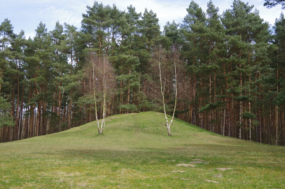 Hügelgrab im Kühlungsborner Wald Ringhotel Strandblick