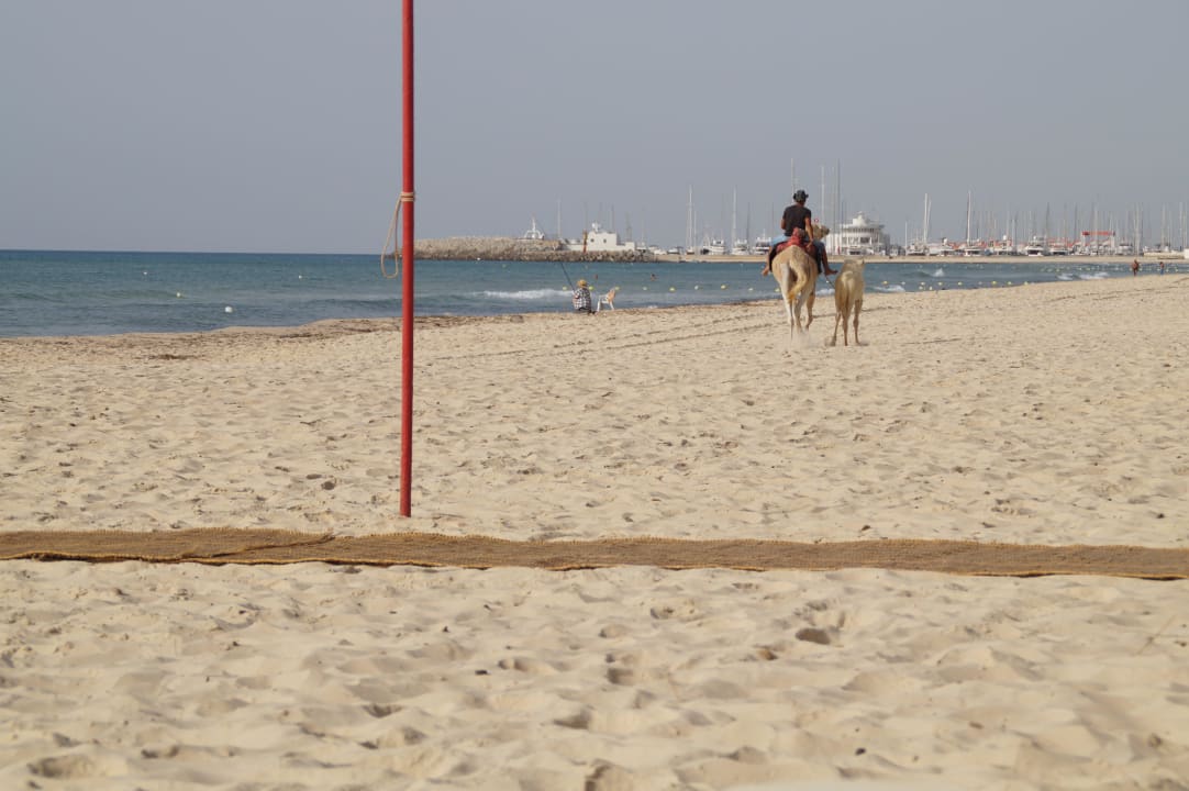 Feiner Sand Strand Oceana Hotel & Spa