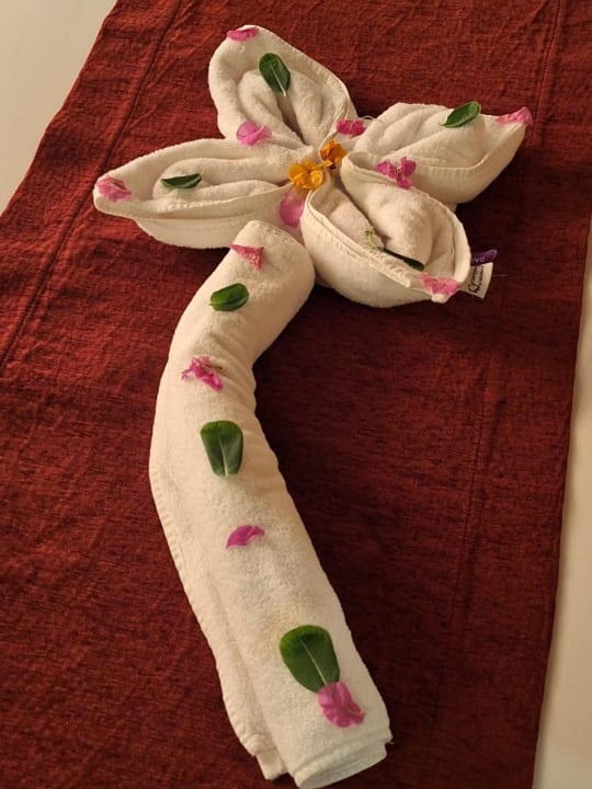 Zimmer Jaz Makadi Oasis Resort