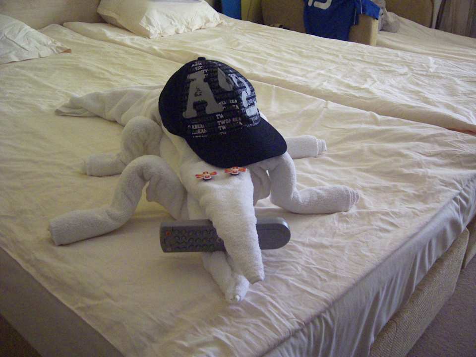 Ein Krokodil aus unseren Handtüchern -ein Lob- Hotel Cazablanka / Casablanca