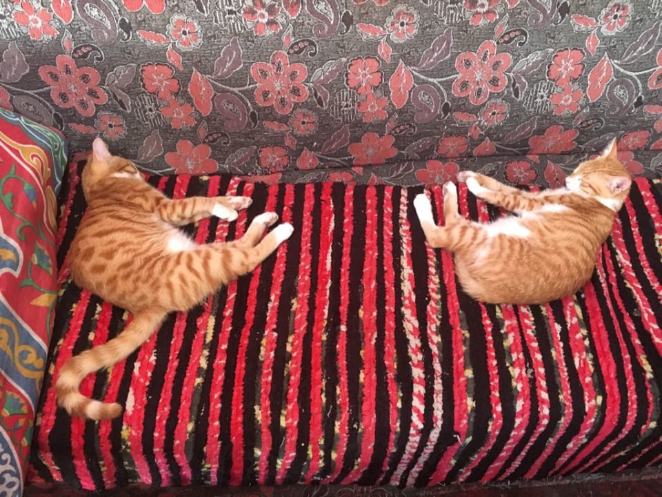 Sonstiges Three Corners Sea Beach Resort