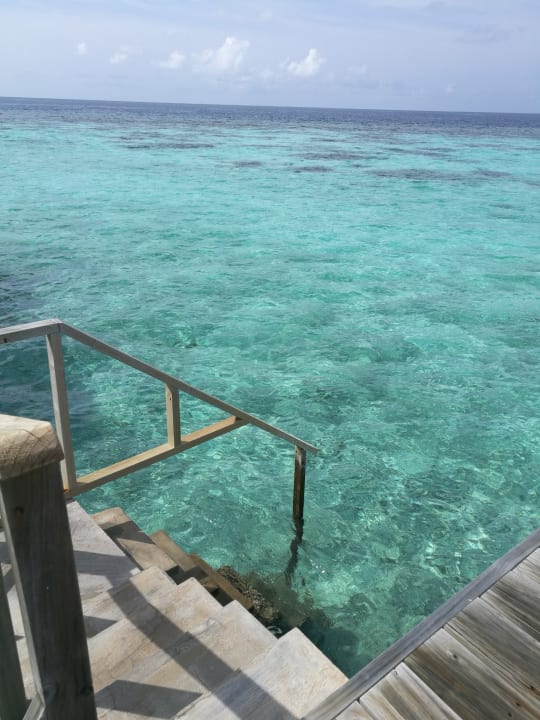 Zimmer Machchafushi Island Resort & Spa Maldives, The Centara Collection