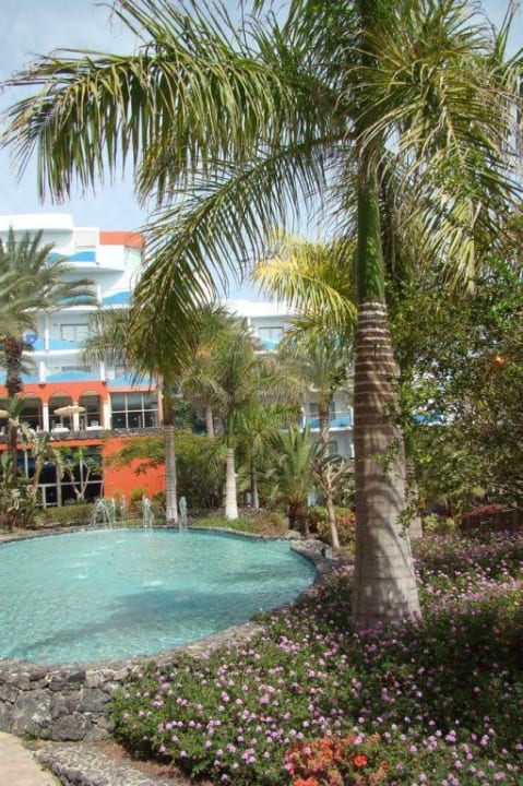 Ogród R2 Pajara Beach