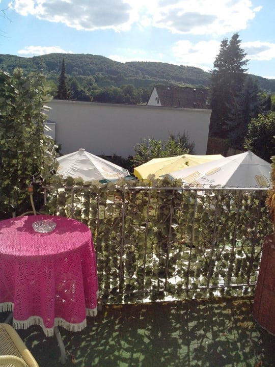 Ein Ausblick von der Terrasse aus Weinhaus Hotel zum Josefshof