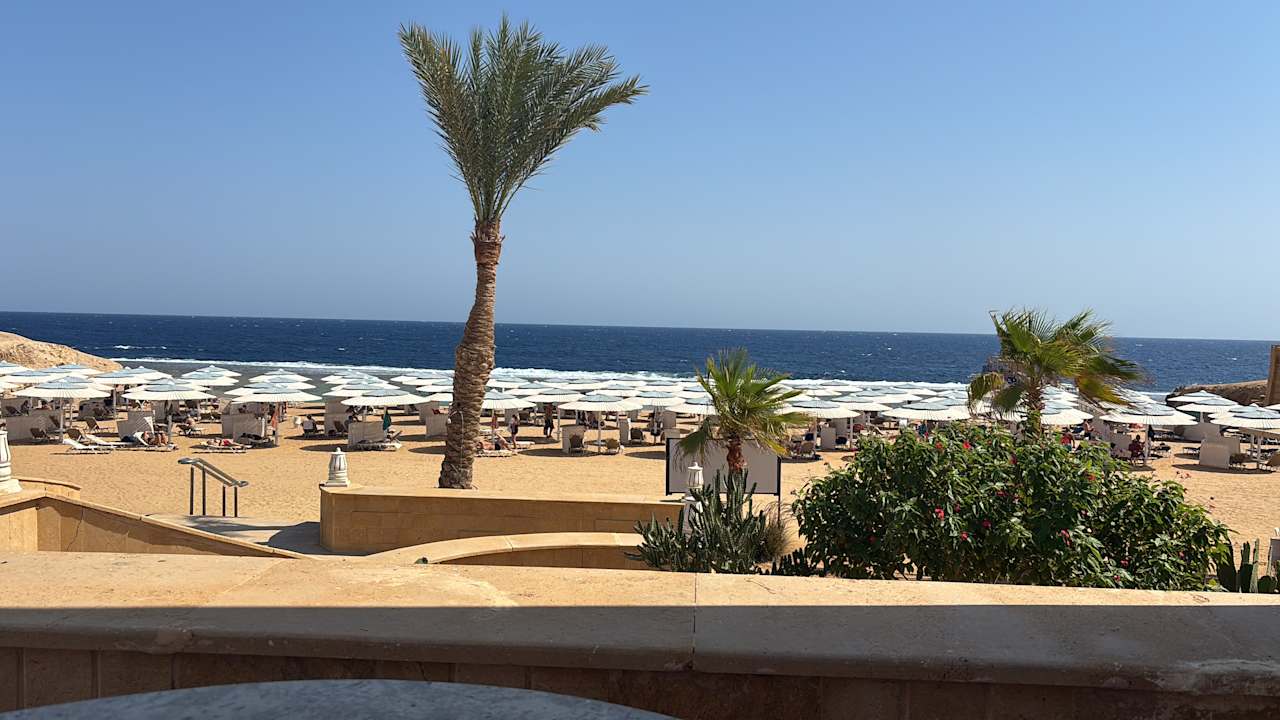 Ausblick JAZ Neo Reef Marsa