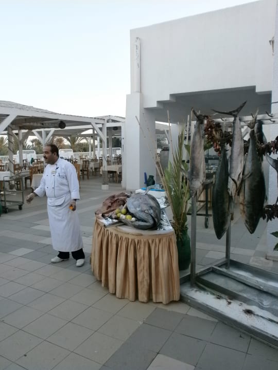 Frischer Fisch im Restaurant L'Olivier Hotel El Mouradi Djerba Menzel