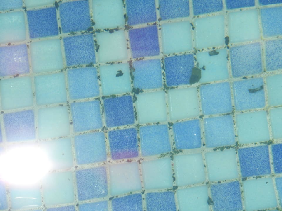 Mold Memories Flamenco Beach Resort