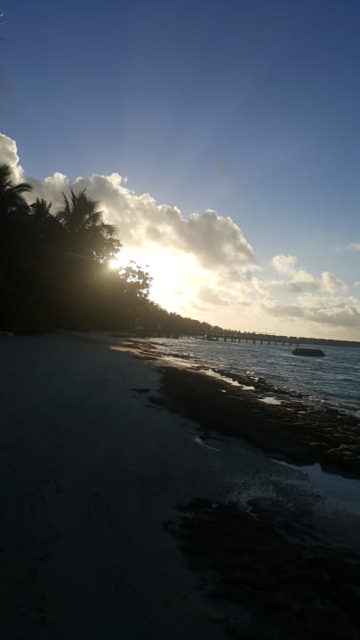 Sonnenuntergang auf der Lagunenseite Kuramathi Maldives