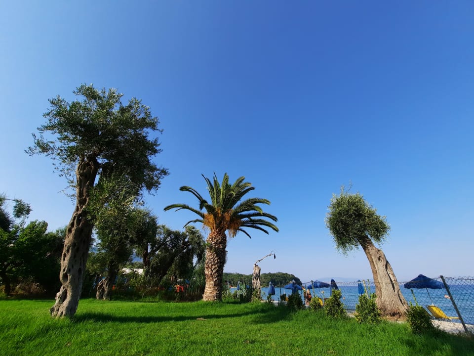 Gartenanlage Elea Beach Hotel