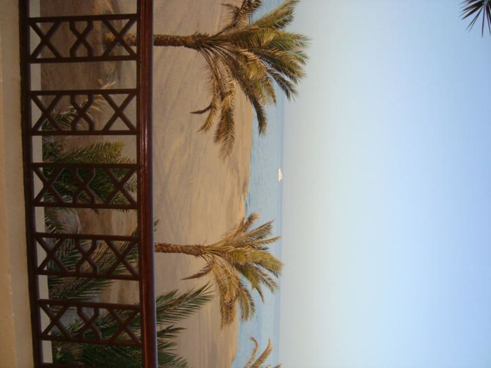 Zimmer mit Meerblick Steigenberger Coraya Beach - Adults only