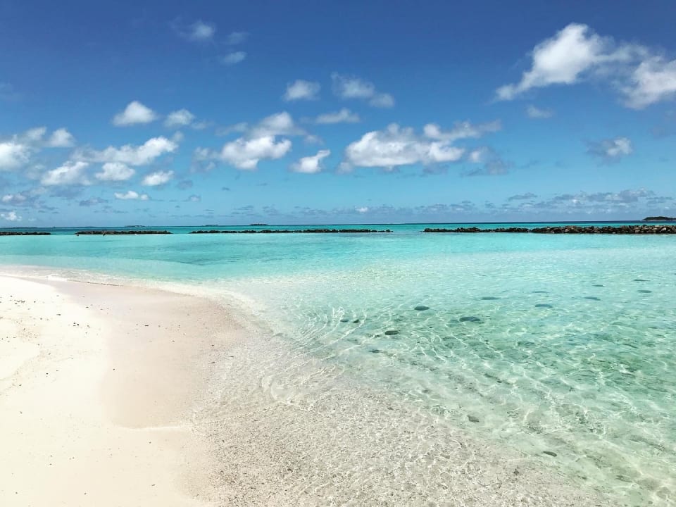 Strand Summer Island Maldives