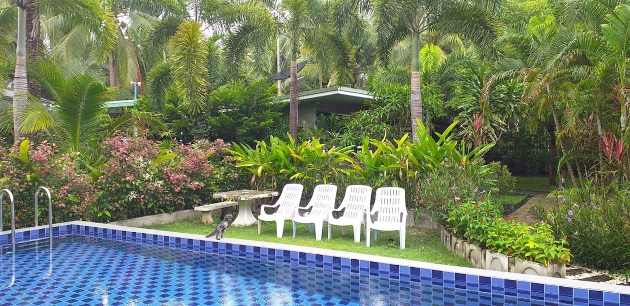 Pool The Leaf on The Sands by Katathani