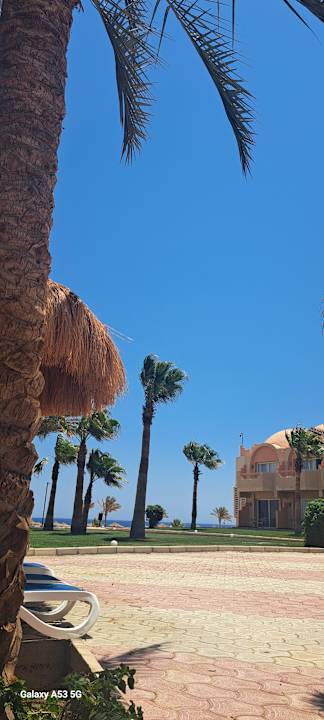 Gartenanlage Three Corners Sea Beach Resort