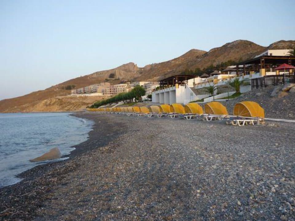 Hotel beach Dimitra Beach Hotel & Suites