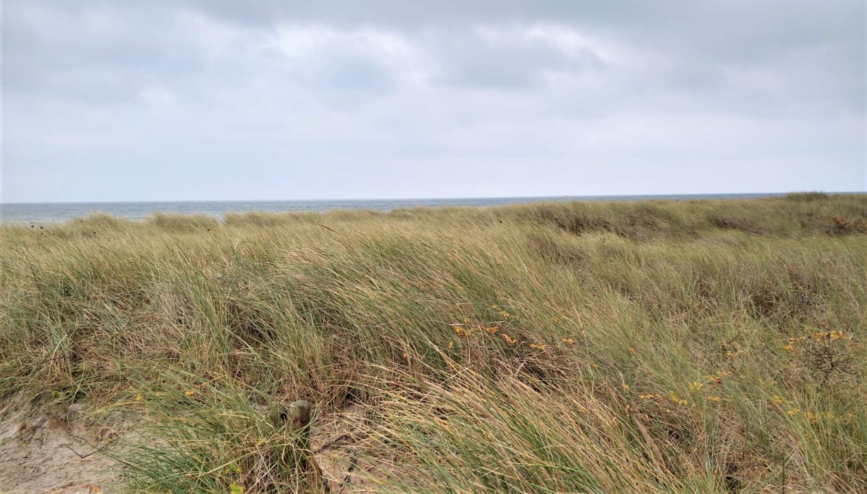 Strand Schwimmendes Haus Hygge Olpenitz