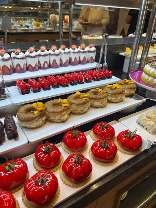 Gastro Seashell Vega