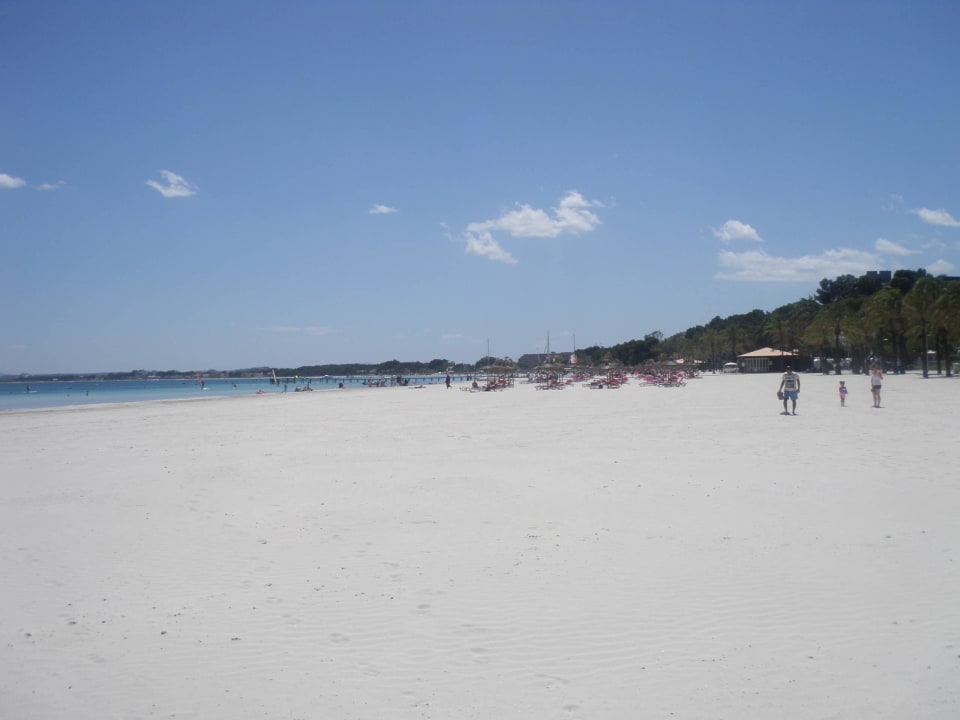 Strand in der Bucht von Alcudia allsun Hotel Eden Alcudia