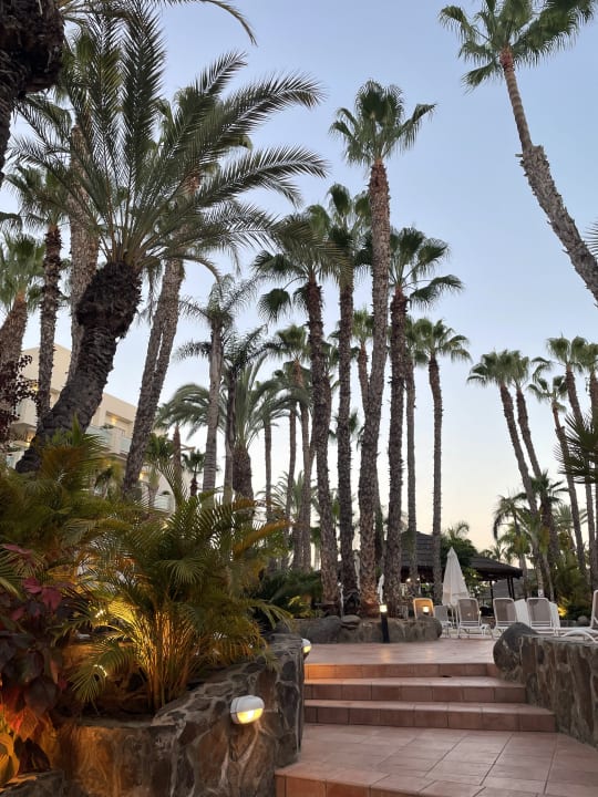 Gartenanlage Maspalomas Princess