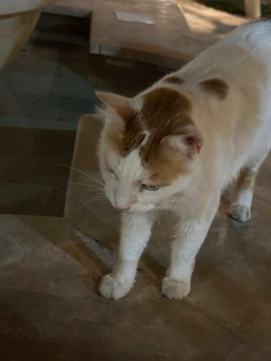 Gartenanlage The Grand Palace - Adults only