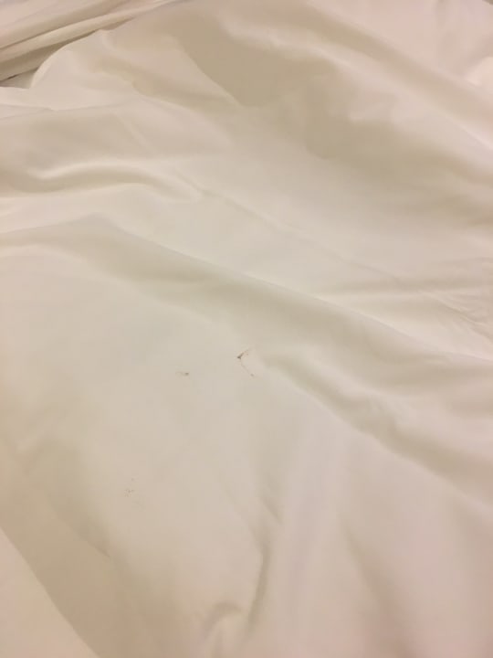 Zimmer St George's Hotel London Wembley