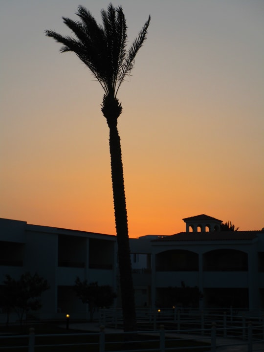 Gartenanlage Pickalbatros Dana Beach Resort - Hurghada