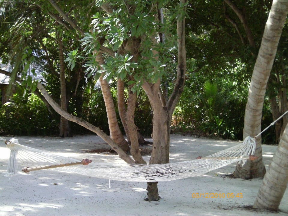 Ruhezone Veligandu Maldives Resort Island