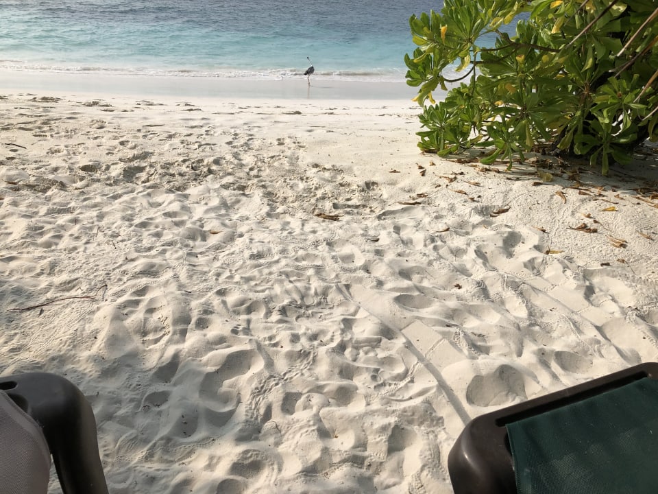 Strand Kuredu Island Resort & Spa