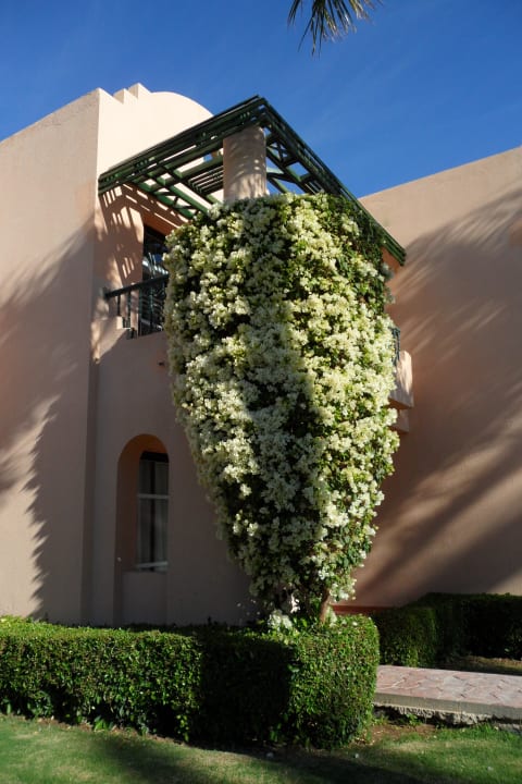 Außenansicht Ali Baba Palace Resort