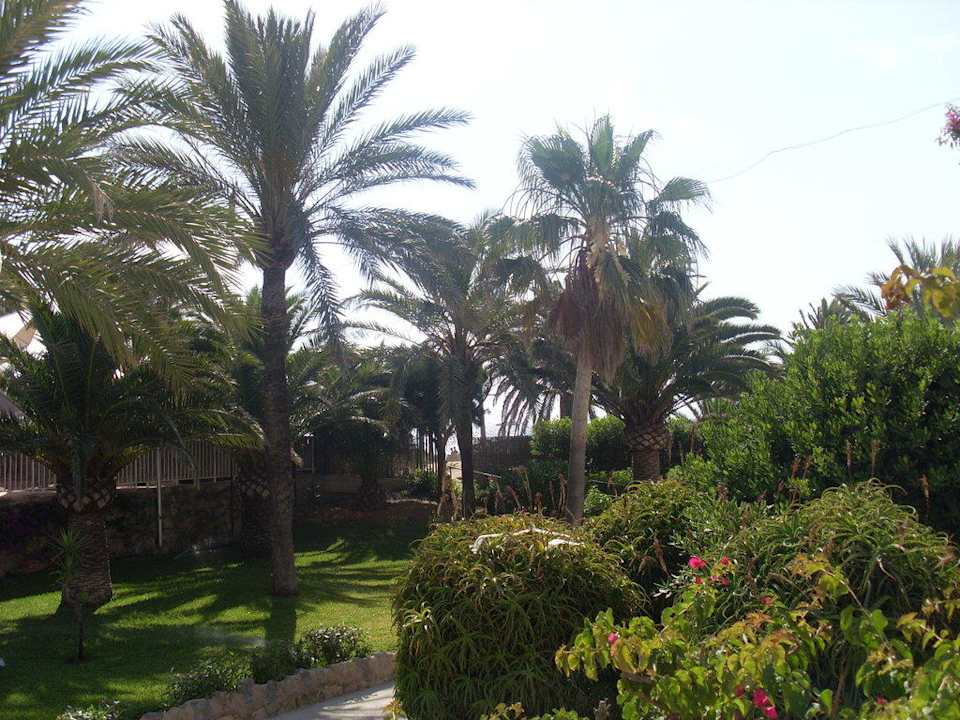 Gartenanlage FERGUS Style Bahamas
