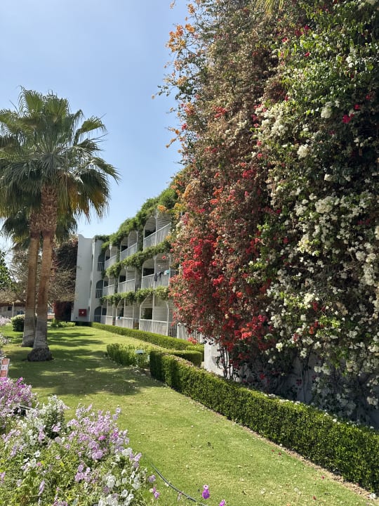 Außenansicht Desert Rose