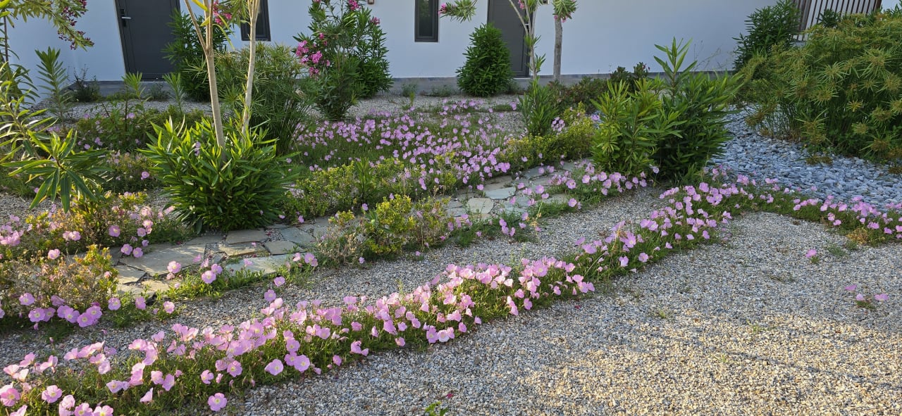 Außenansicht Sentido Pearl Beach Kos – Adults only