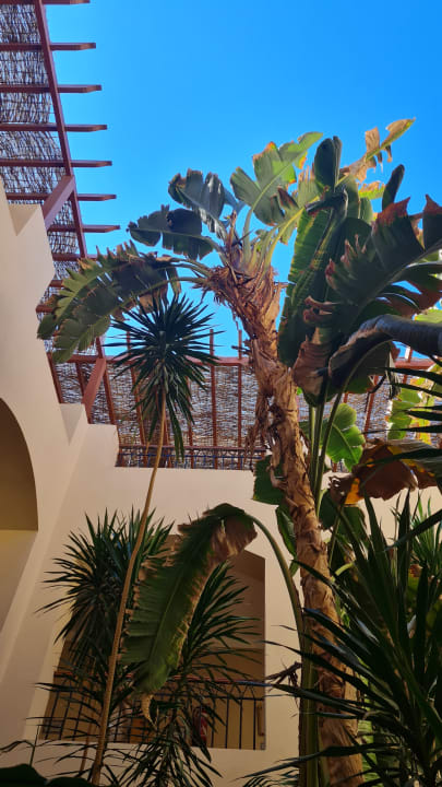 Gartenanlage Hotel JAZ Makadi Star & Spa