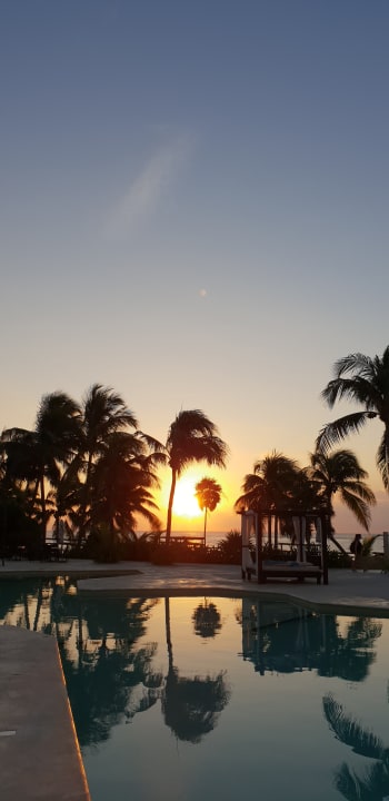 Pool Akumal Bay Beach & Wellness Resort