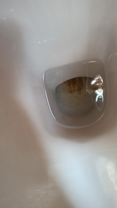 Zimmer Hotel Gremersdorf - Zum grünen Jäger