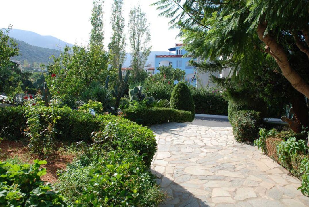 Hotel Kyknos Sentido Kyknos Beach Adults Only 16+