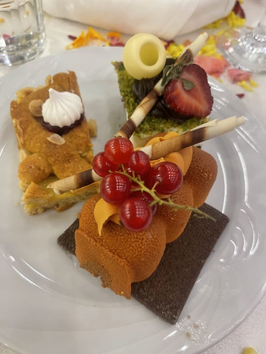 Gastro Hotel Delphin Diva