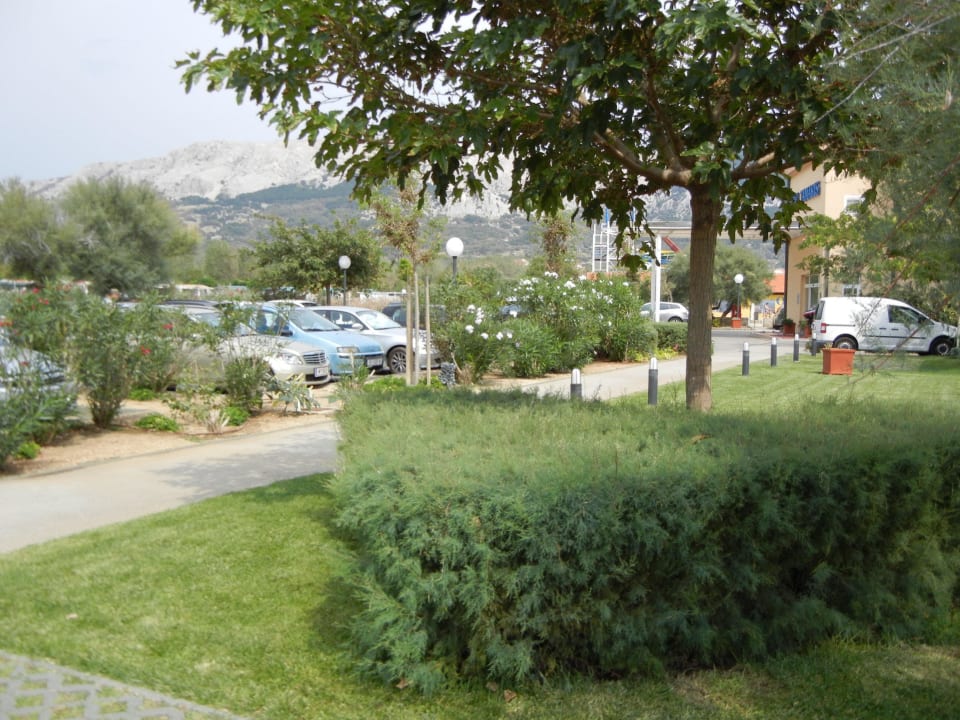 Ein Teil der Gartenanlage Hotel Tamaris