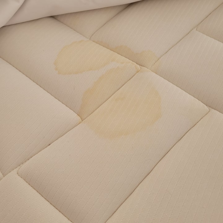 Zimmer Hotel Riu Baobab - All Inclusive