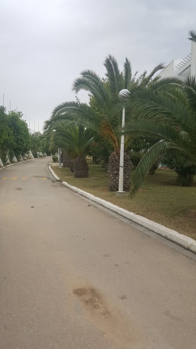 Gartenanlage El Mouradi Club Kantaoui